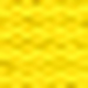 Meet your Posher, Esther